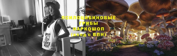 герыч Ельня