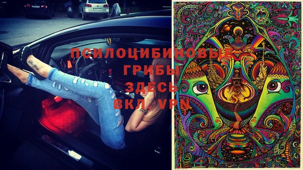 герыч Ельня