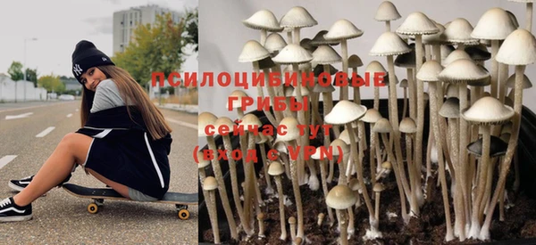 герыч Ельня