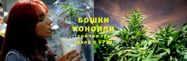 герыч Ельня