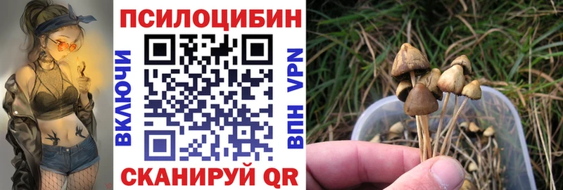 Псилоцибиновые грибы мицелий  Купить  Жуковка 